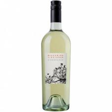 Blackbird - Dissonance 2024